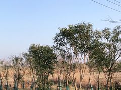 -广富林郊野公园