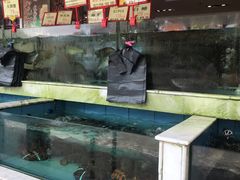 水产区-沙河粉村·国家非遗传承(云台店)