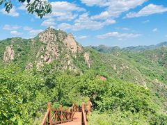-大岭沟猕猴桃谷风景区