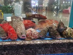 -聚福宝合苑食府(南头镇店)