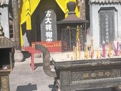 -大槐树寻根祭祖园
