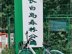 -长白岛森林公园