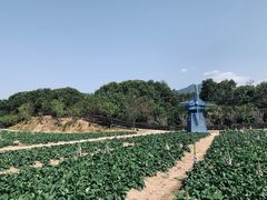 -广州市流溪河国家森林公园