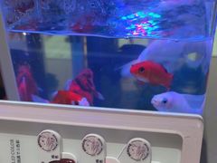 -海底捞火锅(武胜路凯德广场店)