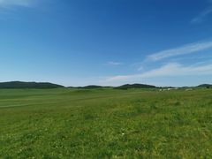 -御道口草原森林风景区