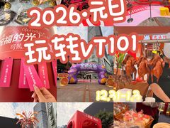 -VT101维多利广场