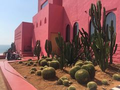 -漳州滨海火山岛自然生态风景区