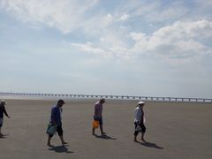 -南汇嘴观海公园