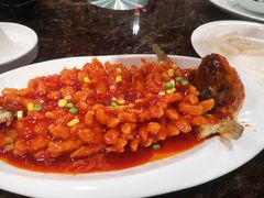 -来小酌·长安酒家(翠庭大厦店)