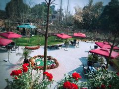 -森居forest休闲咖啡聚集地