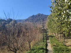 -杭州半山国家森林公园