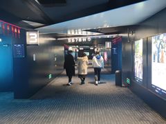 -奥斯卡升龙国际影城(RealD Cinema)