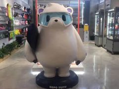 -Hopo Snow 城市滑雪空间(滨江宝龙城店)