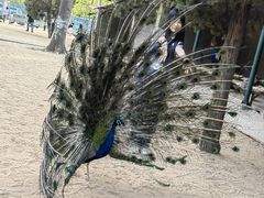 -秦皇岛野生动物园