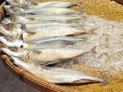 -OPEN開全日自助餐厅·牛肉火锅·海鲜(佛山希尔顿酒店)