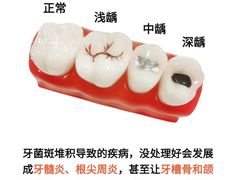 -上海市徐汇区口腔医院