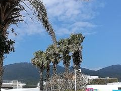 -亚龙湾中心广场