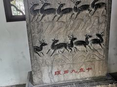 -上海醉白池公园