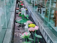 -水莲居(佛祖岭店)