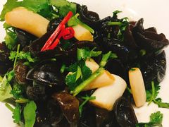 凉拌黑木耳-东方饺子王(新奥购物中心店)