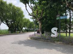 -太阳岛度假酒店