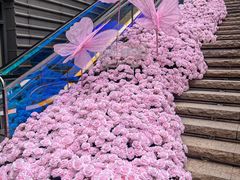 -万科生活广场(东莞松山湖店)