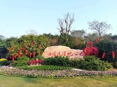 -五缘湾湿地公园