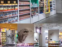 -KKV(深圳宏发大仟里店)