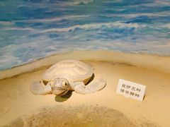 -嘉定博物馆