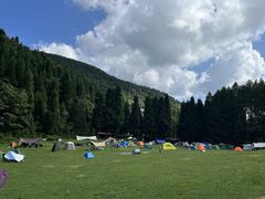 -武陵山森林公园