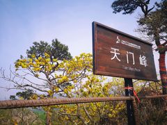-大连天门山国家森林公园