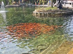-水磨沟公园