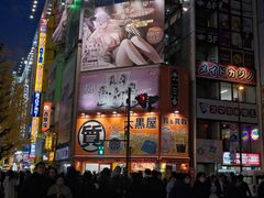 -秋叶原电器街