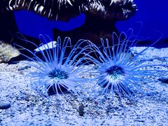 -青岛海底世界-水族馆