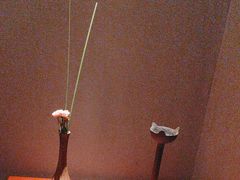 -觀芷隐轩