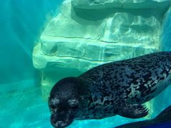 -多彩贵州城极地海洋世界