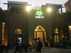 -海南椰子鸡餐厅(三亚湾红树林店)