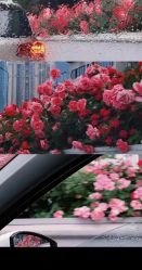 -倩极·精研痘敏肌管理
