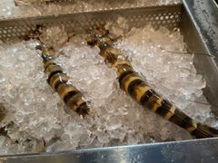 -翠恒酒家(宴会厅)