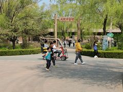 -太阳部落