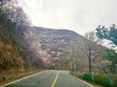 -妙峰山风景名胜区