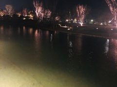 清澈的水里面有鱼-窗外西餐厅(普罗理想国店)