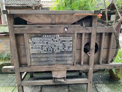 -黄龙溪古镇