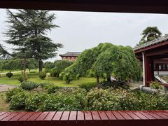 -洛阳古墓博物馆