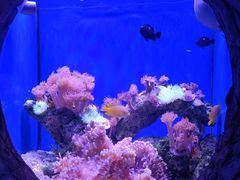 -杭州长乔极地海洋公园