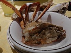 -莲花公园煎蟹(总店)
