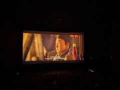 -武汉华夏国际影城(鲁广店)