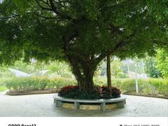 -人民公园(罗湖区)