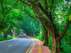 -南国桃园旅游度假区