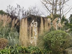 -白鹭湾湿地公园